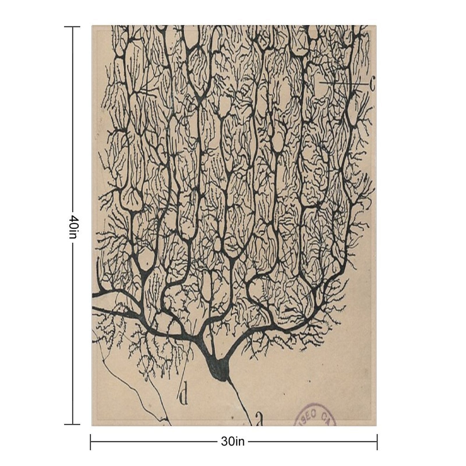 Cajal's Neurons Sketch Wrinkle-free Throw Blanket