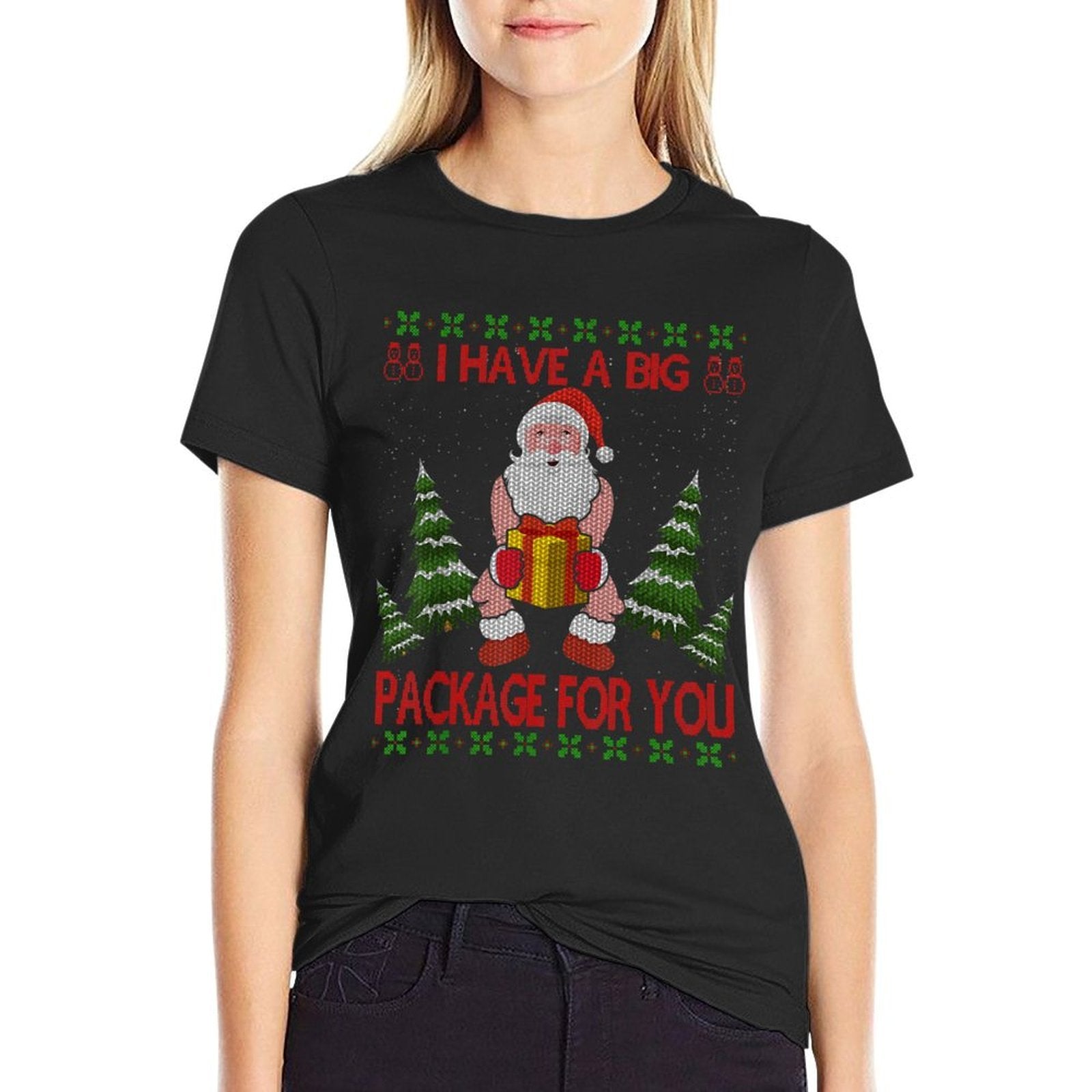 I Have Big Package for You Santa Claus  Huge Box Christmas  Soft T-Shirt