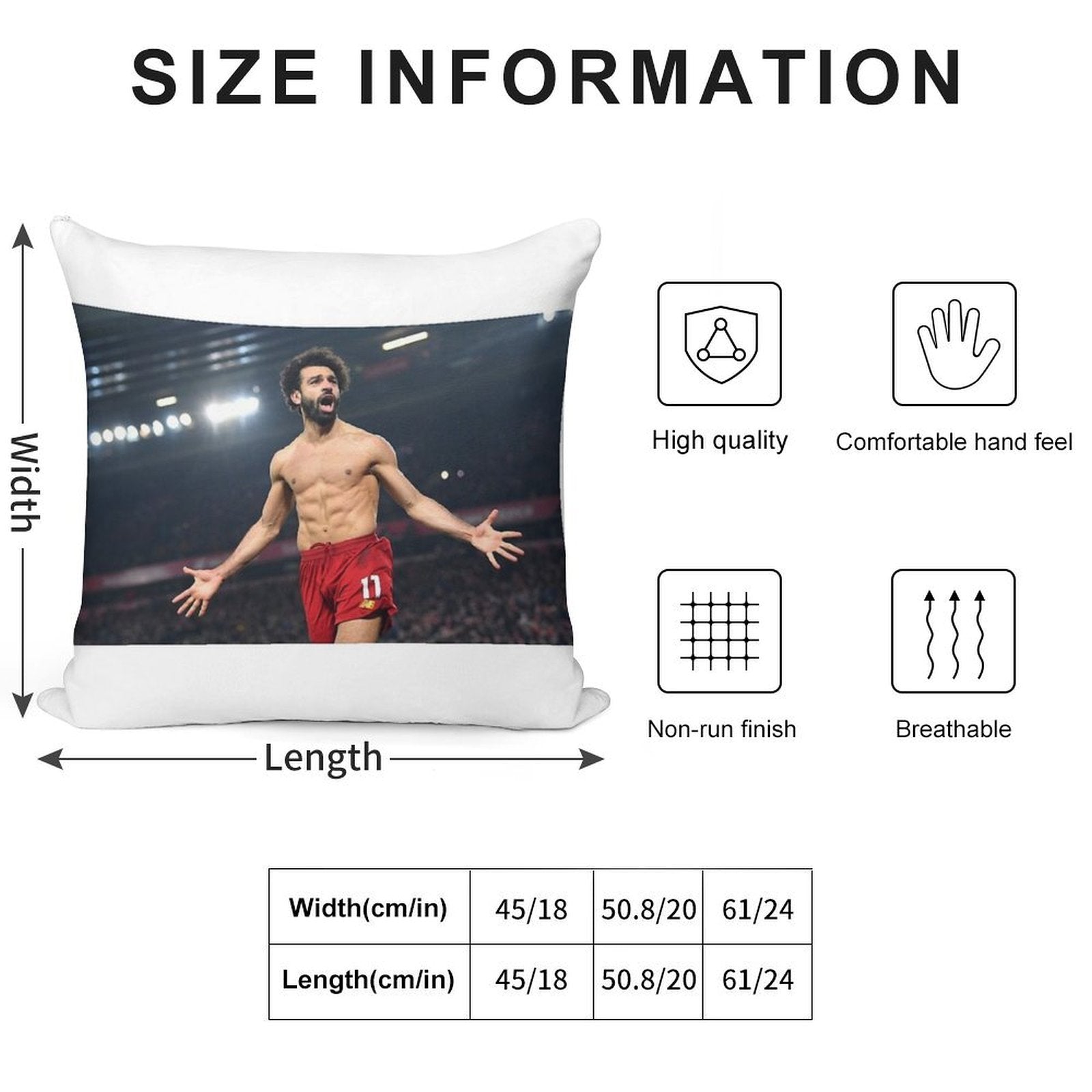 Salah Soft Washable Throw Pillow