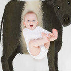 Belted Galloway Cattle Quick-dry Throw Blanket