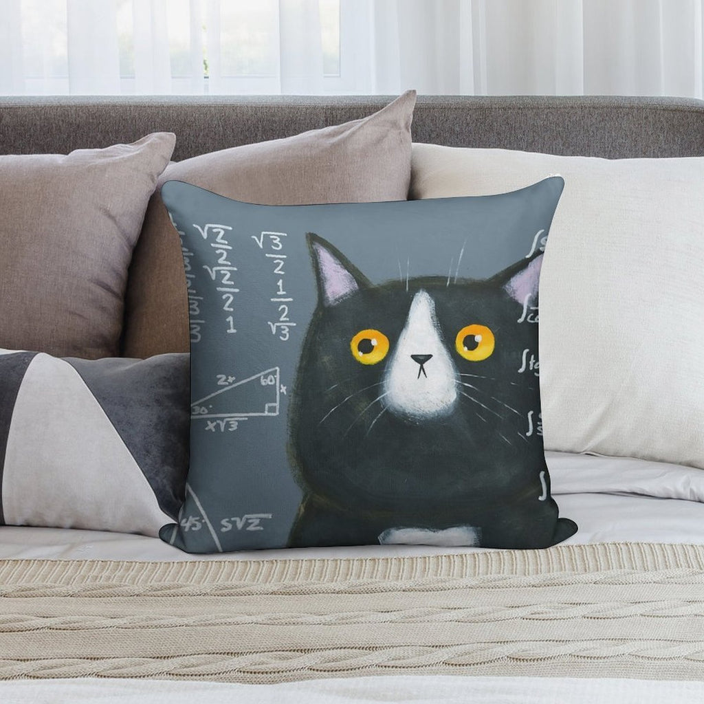 Maths Cat Soft Anti-Pilling Throw Pillow