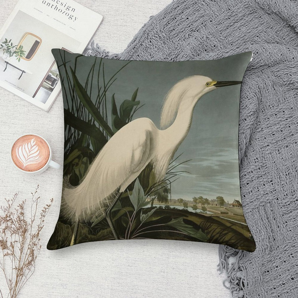 Snowy Heron Or White Egret from Audubon Birds of America Soft Multiple Sizes Throw Pillow