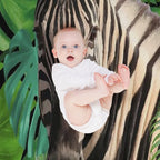 Zebra Jungle Palm Monstera Leaves Gift-ready Throw Blanket