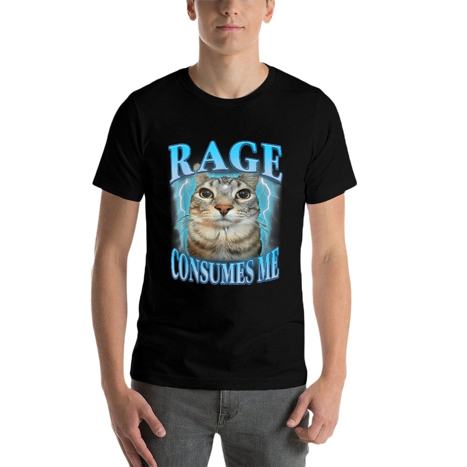 Rage Consumes Me Funny Silly Staring Cat Meme Women Men  High-quality Stitching T-Shirt
