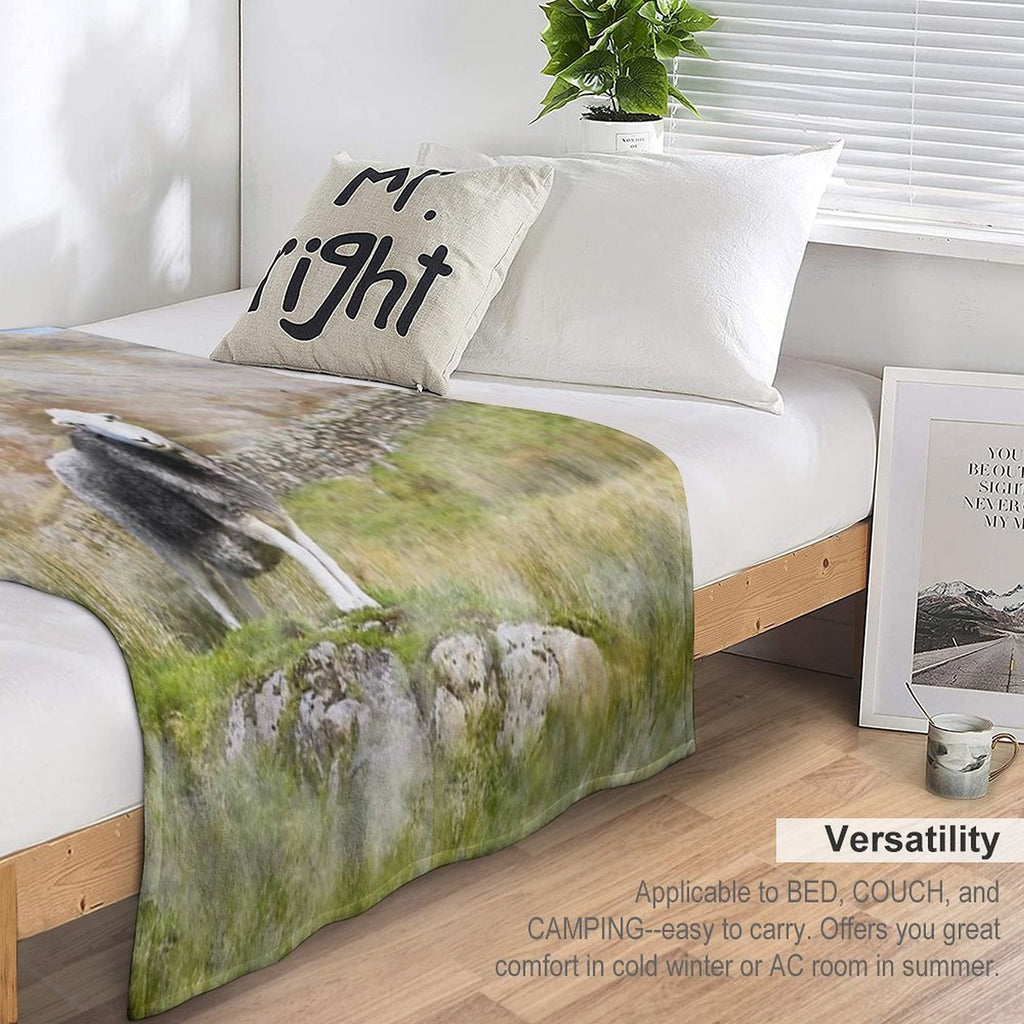 Herdwick Sheep Landscape Watercolour Photograph Shrink-resistant Throw Blanket