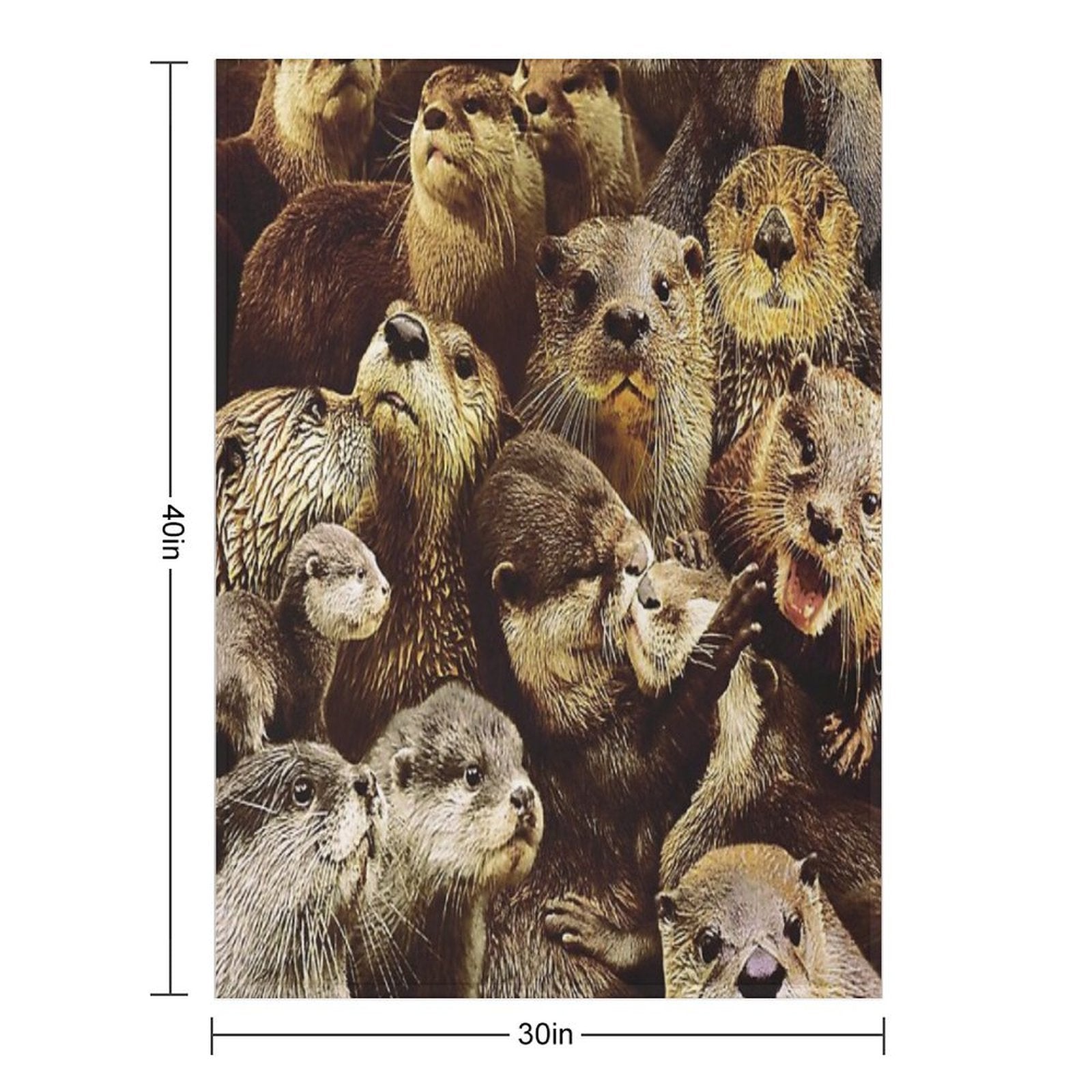 Otters Gift-ready Throw Blanket