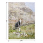 Herdwick Sheep Landscape Watercolour Photograph Shrink-resistant Throw Blanket