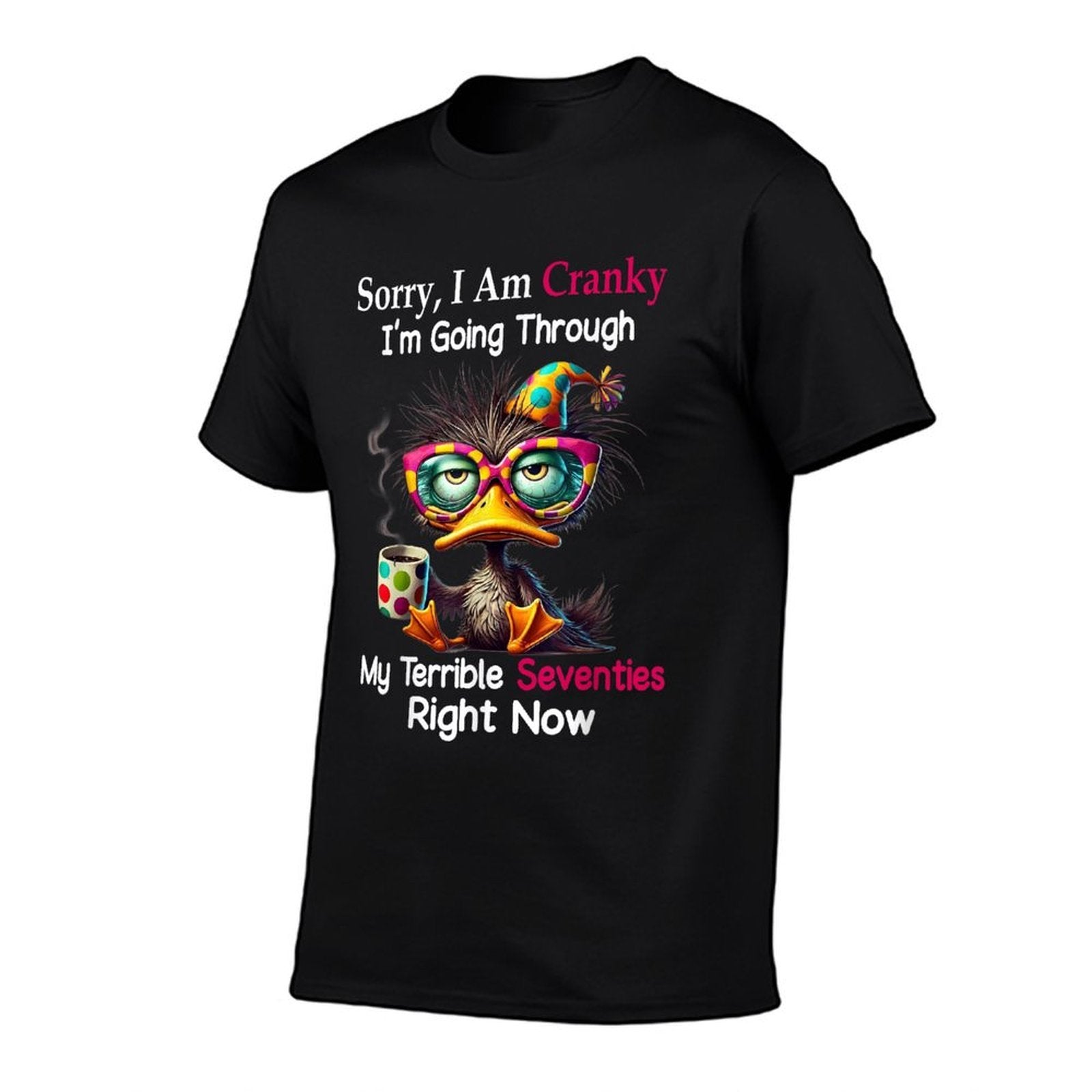 Sorry I Am Cranky Im Going Through My Terrible Seventies  Relaxed-fit T-Shirt