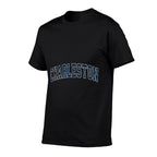 Charleston South Carolina SC Vintage Sports Design Navy Desi  Eco-friendly Material T-Shirt