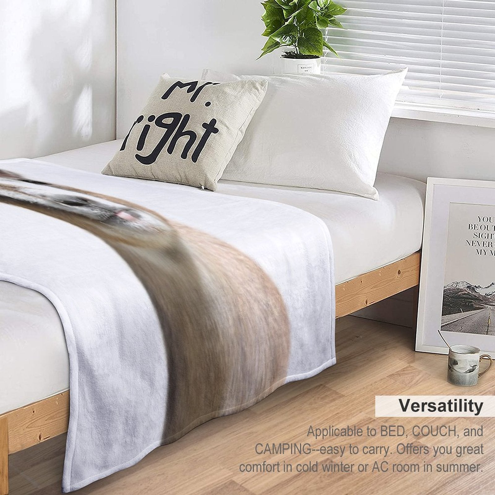 Little Goat, Animal, Cute Animal Wrinkle-free Throw Blanket