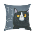 Maths Cat Soft Anti-Pilling Throw Pillow
