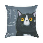 Maths Cat Soft Anti-Pilling Throw Pillow