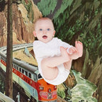 Califronia Zephyr Poster Wrinkle-free Throw Blanket