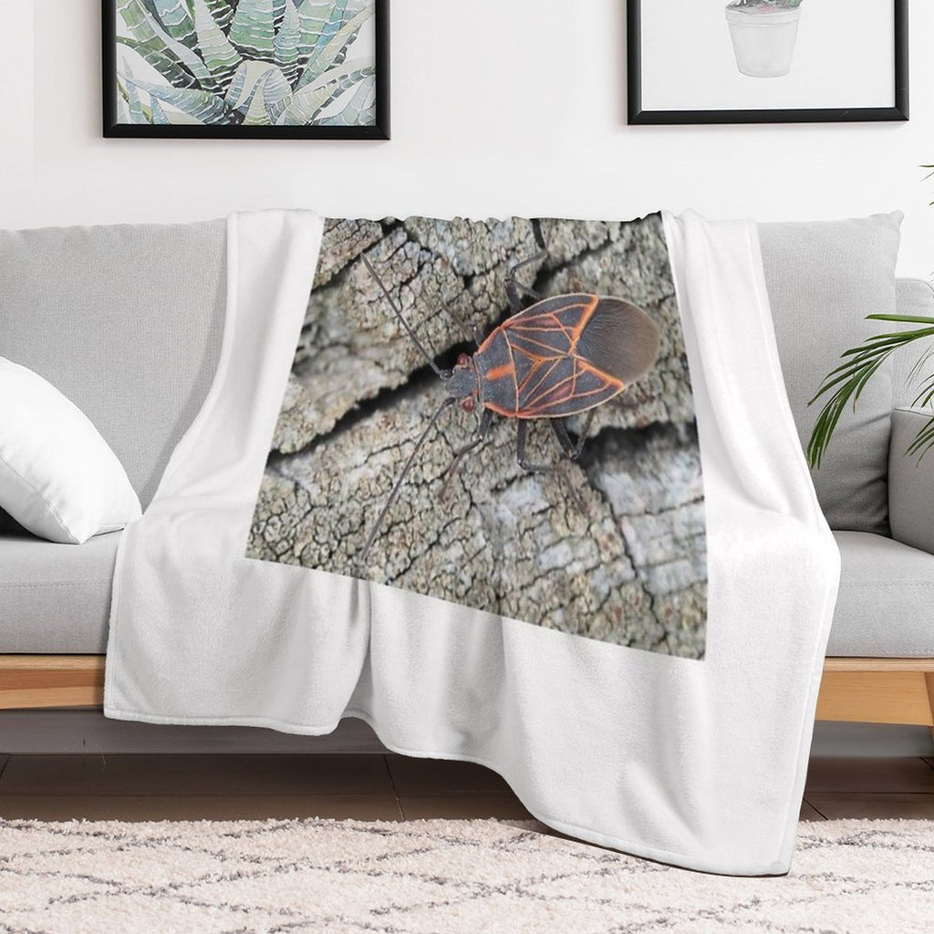 Western Boxelder Bug Comfort Throw Blanket