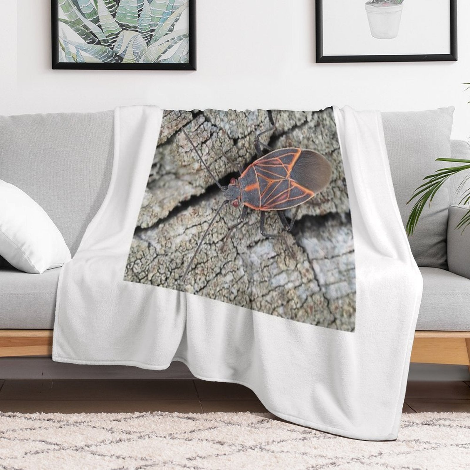 Western Boxelder Bug Comfort Throw Blanket