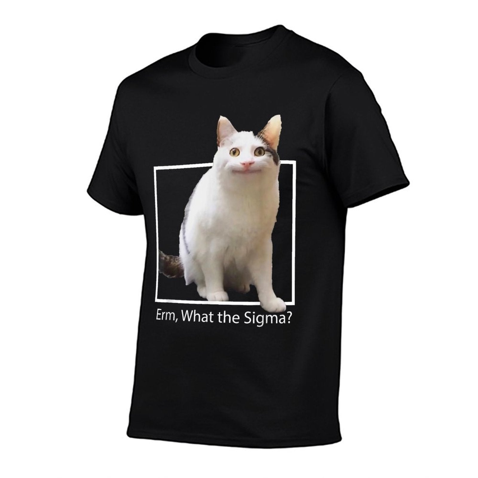 Funny Cat Meme Quote Erm What Sigma For Men Women Cool Sigma  Stretchy T-Shirt