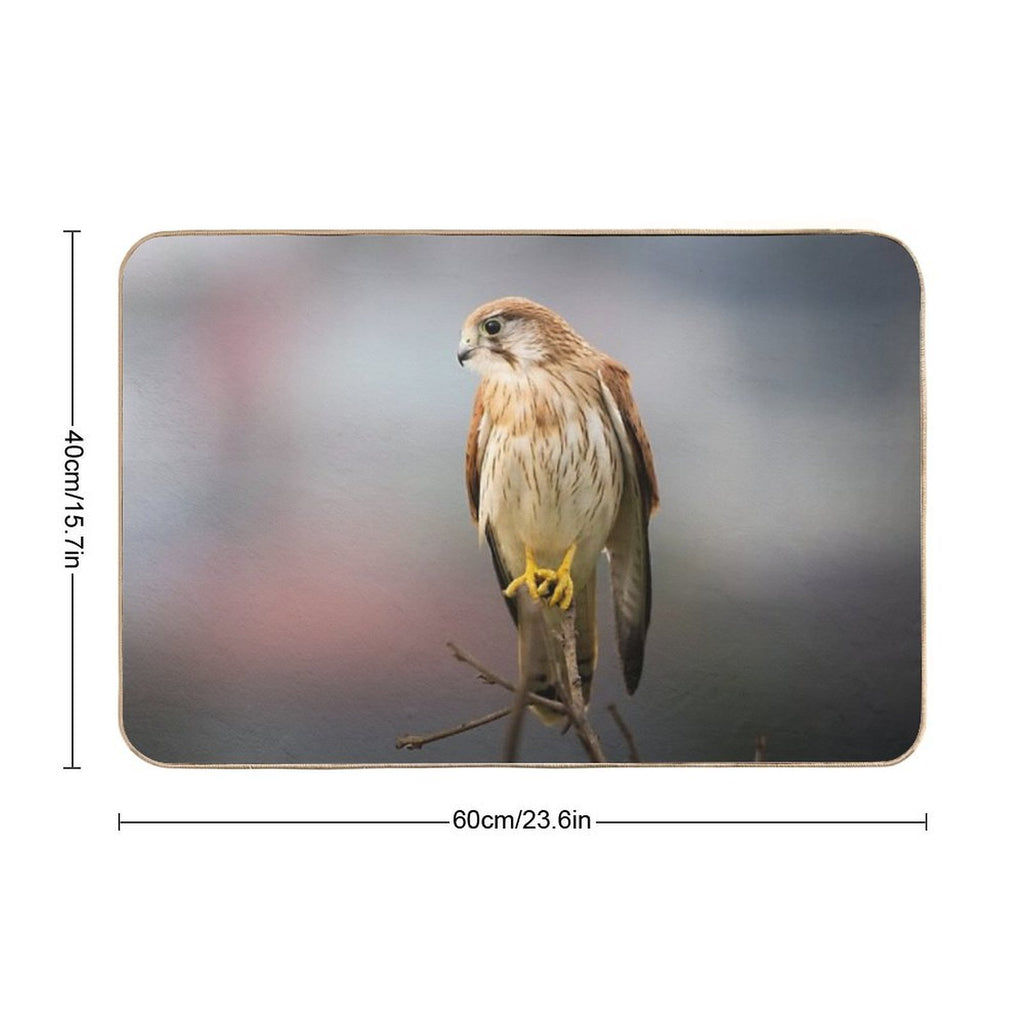Nankeen Kestrel Contemplations - Bird  Easy To Clean Bath Mat