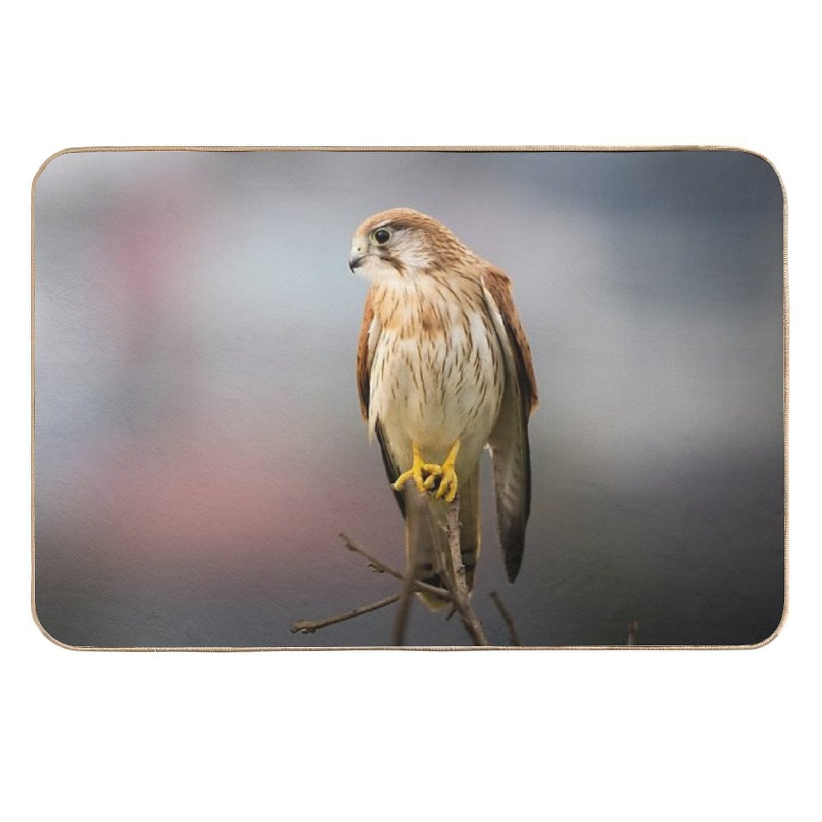 Nankeen Kestrel Contemplations - Bird  Easy To Clean Bath Mat