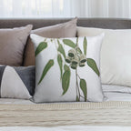 Australian Flora - Eucalyptus Gum Nuts Soft Gift Ready Throw Pillow