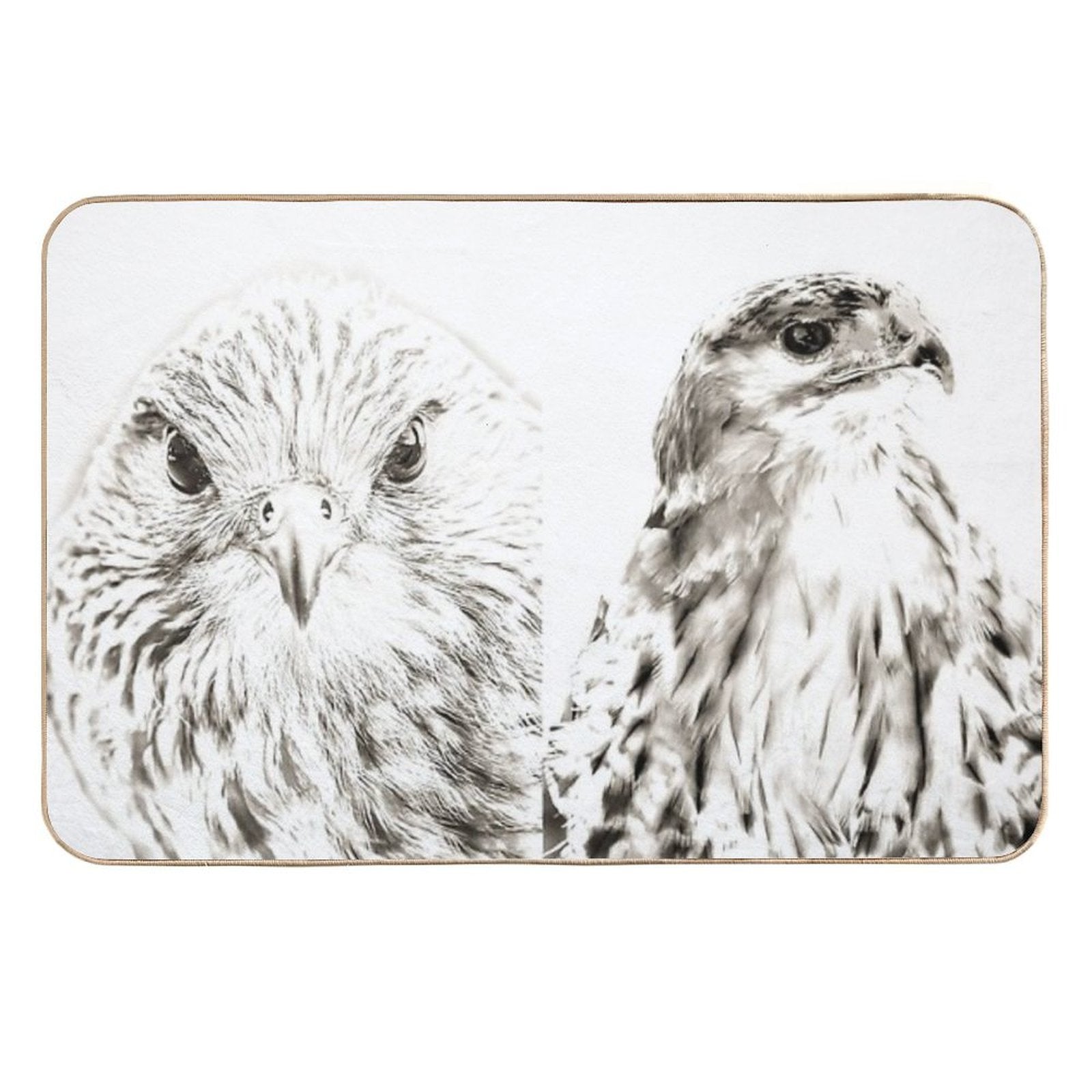 Falcon And Hawk  Dirt-Trapping Bath Mat