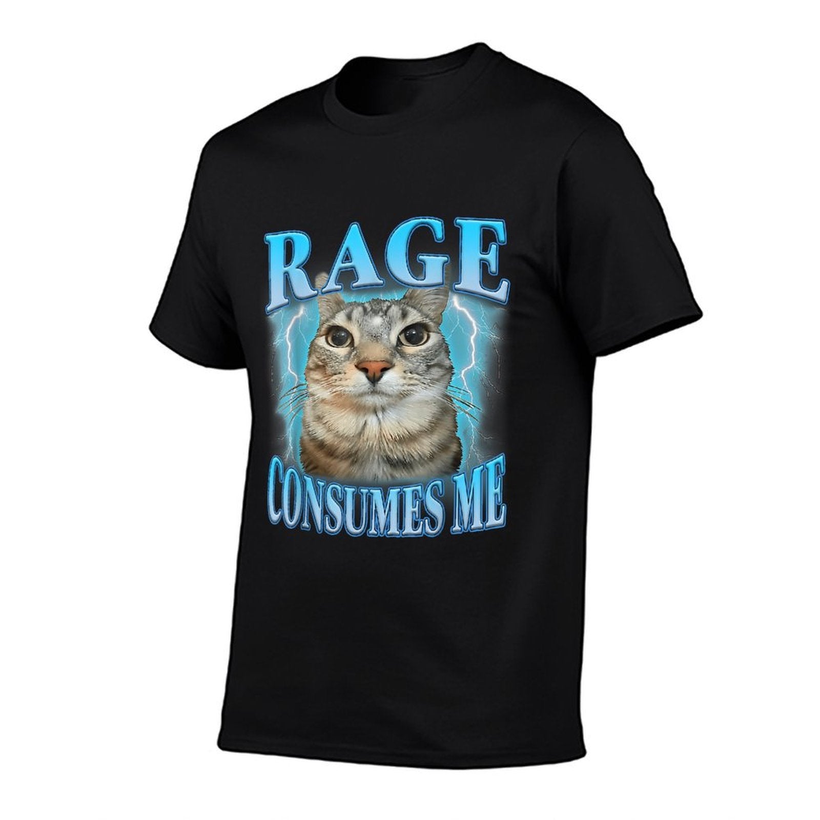 Rage Consumes Me Funny Silly Staring Cat Meme Women Men  High-quality Stitching T-Shirt