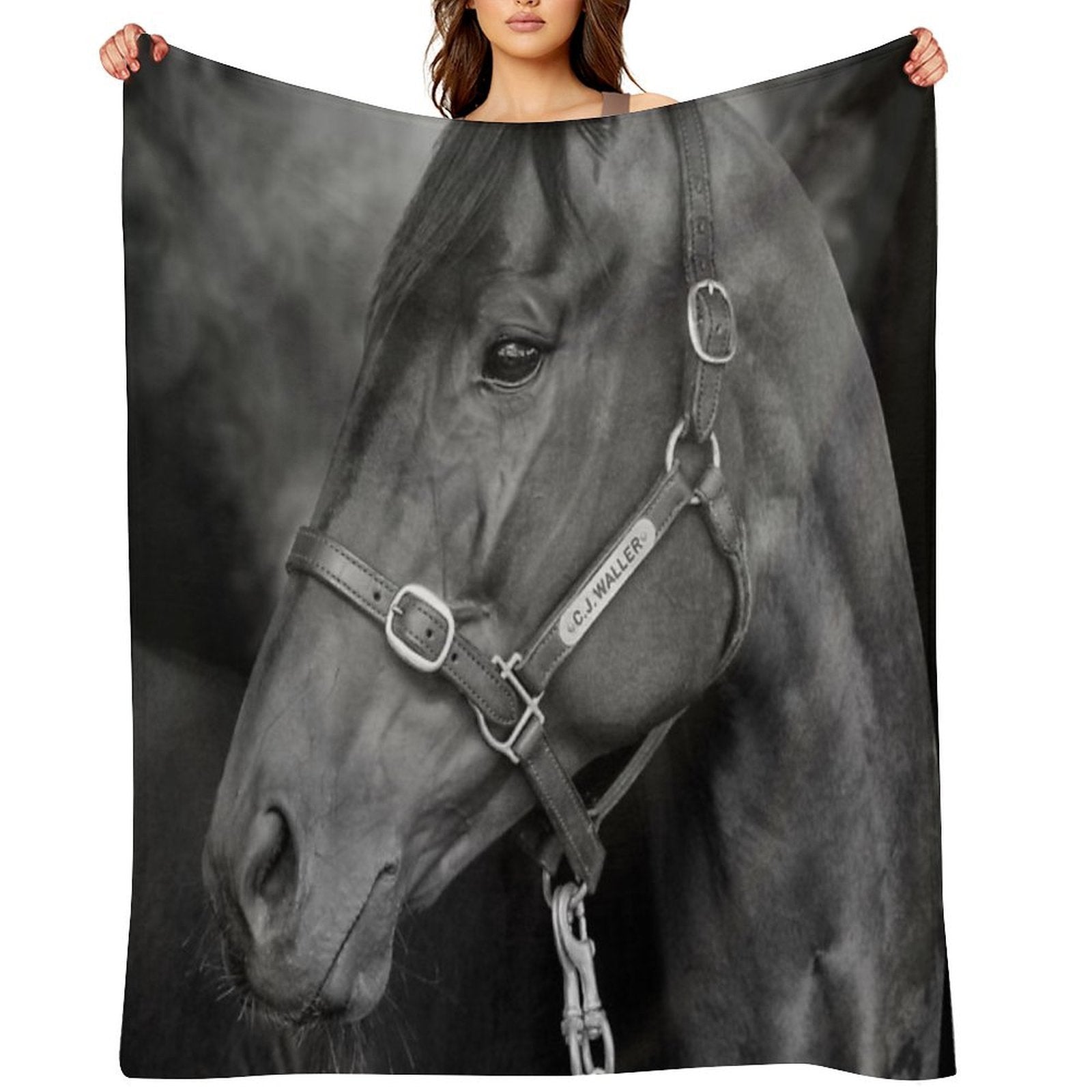 Winx - Farewell to A Champion Anti-pilling Throw Blanket