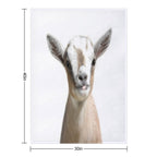 Little Goat, Animal, Cute Animal Wrinkle-free Throw Blanket