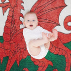 Old Classic Welsh Flag Wales Lightweight Throw Blanket
