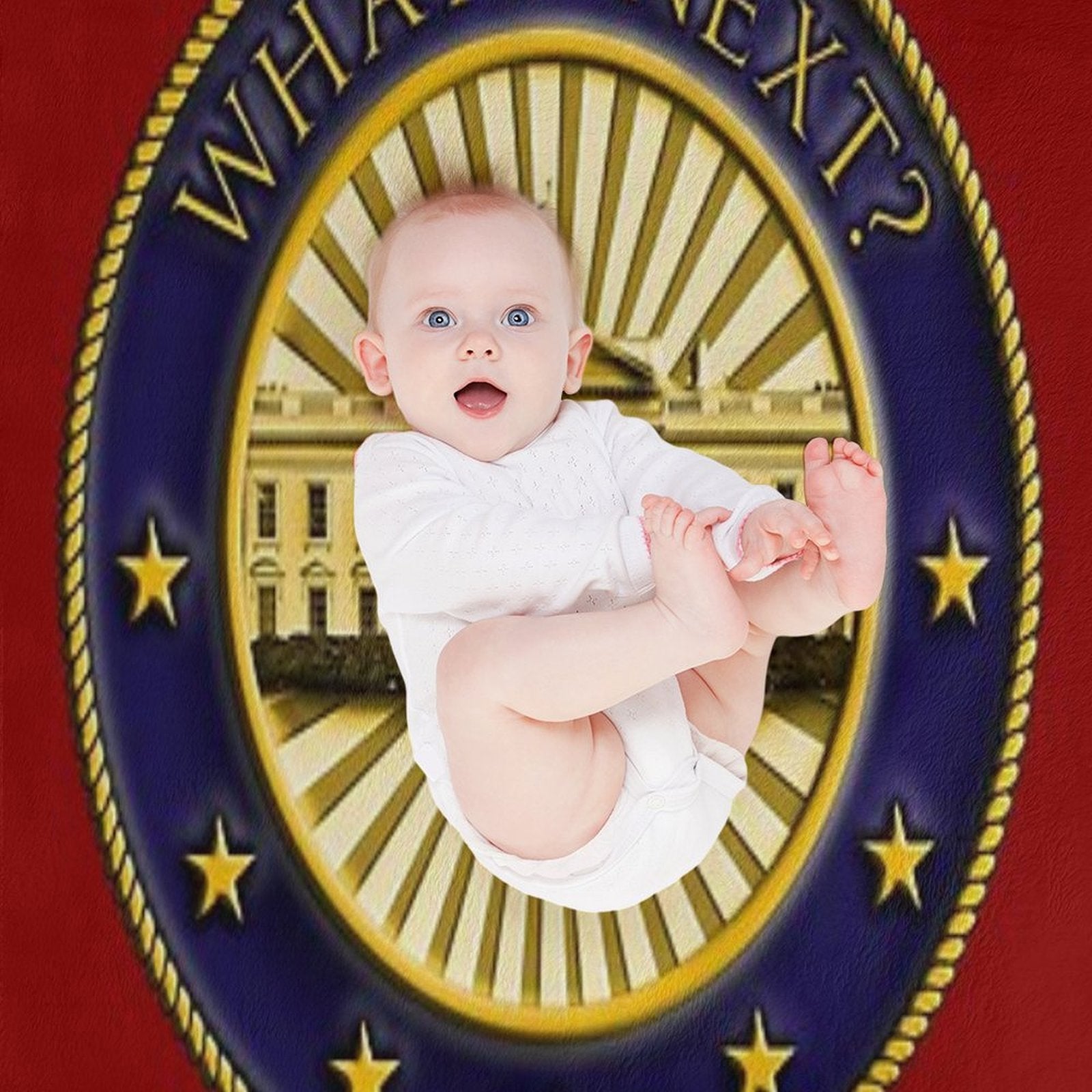 What's Next Wrinkle-free Throw Blanket