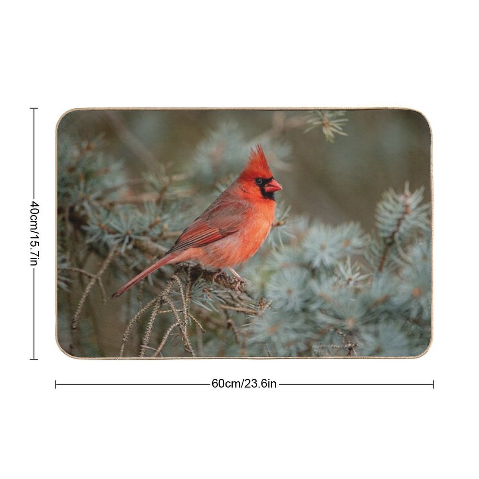 Male Northern Cardinal  Anti-Trip Bath Mat