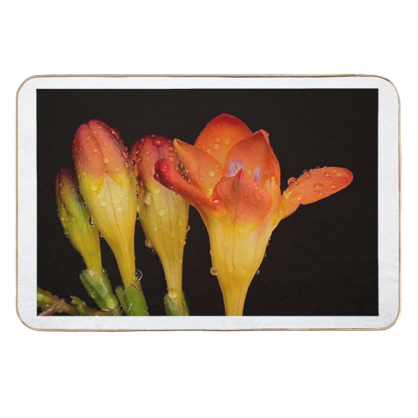 Vibrant Freesia Bloom with Dew Drops – Macro Floral Photography Fressia  Odorless Bath Mat