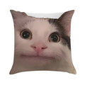 Polite Cat Meme, Funny Cat Meme Soft Warmth Comfort Throw Pillow