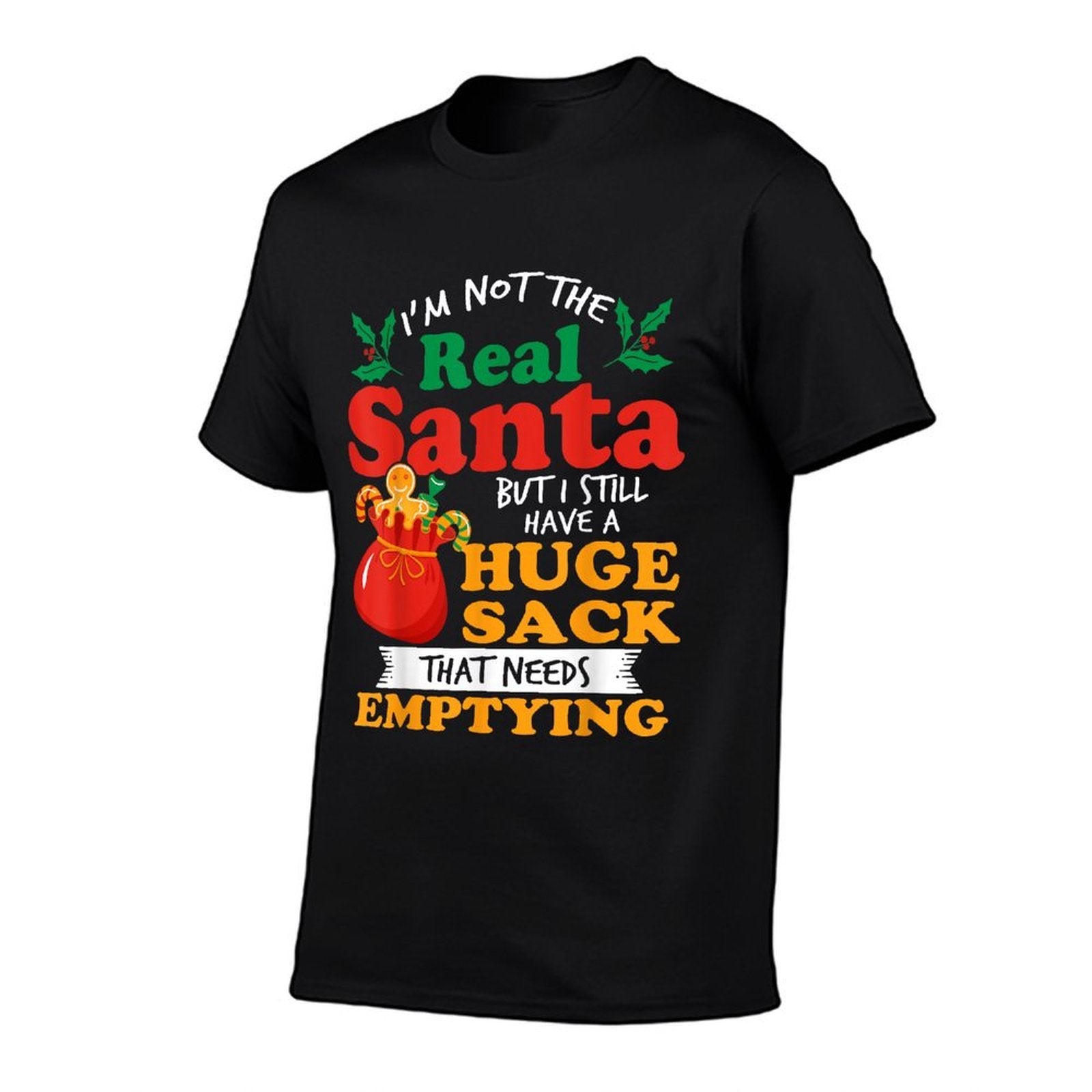 Inappropriate I Have A Big Package for You Men Dirty Santa  Rolled Sleeves T-Shirt