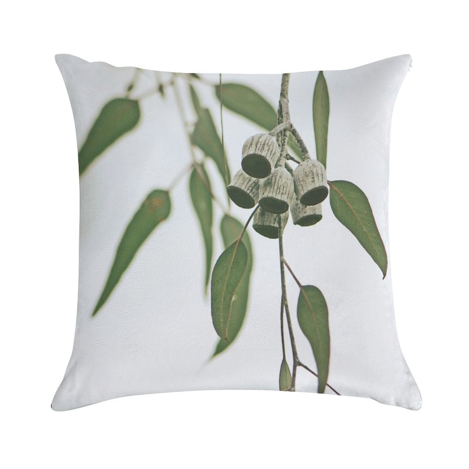 Australian Flora - Eucalyptus Gum Nuts Soft Gift Ready Throw Pillow