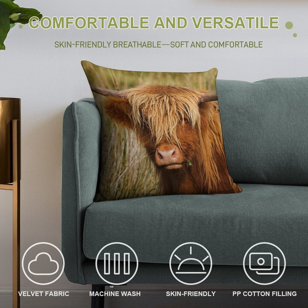 Highland Cow Soft Luxury Feel Throw Pillow