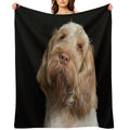 Head Tilt Spinone – Curious Gaze by Heidiannemorris © Premium Throw Blanket
