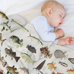 Fish Chart Comfort Throw Blanket