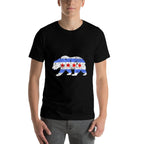 Chicago City Distressed Bear Gift  Heathered Texture T-Shirt
