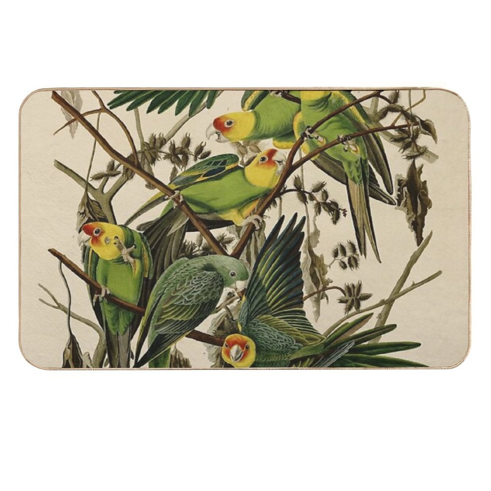 Vintage Parrot Illustration  Odorless Bath Mat