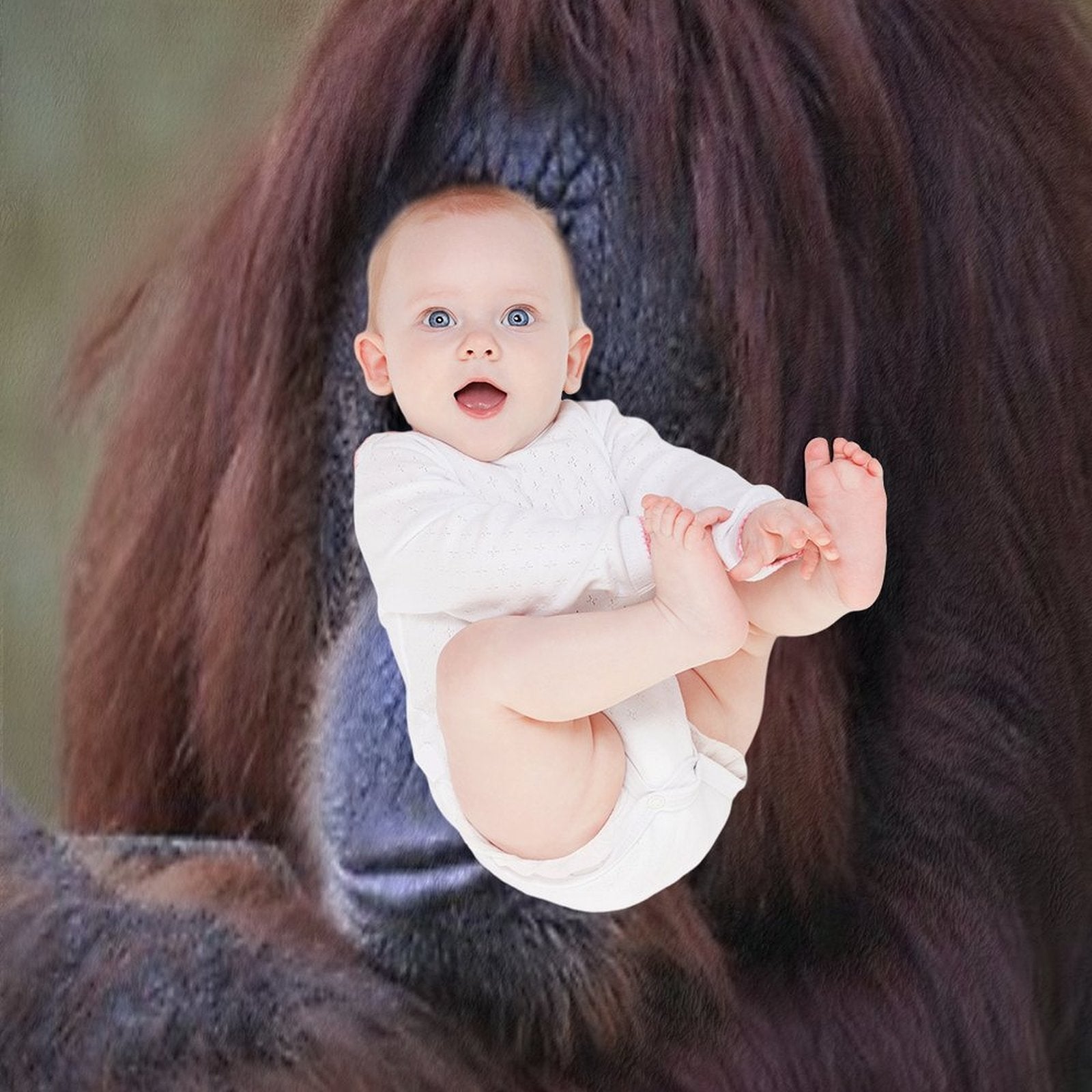Orangutan Durable Throw Blanket