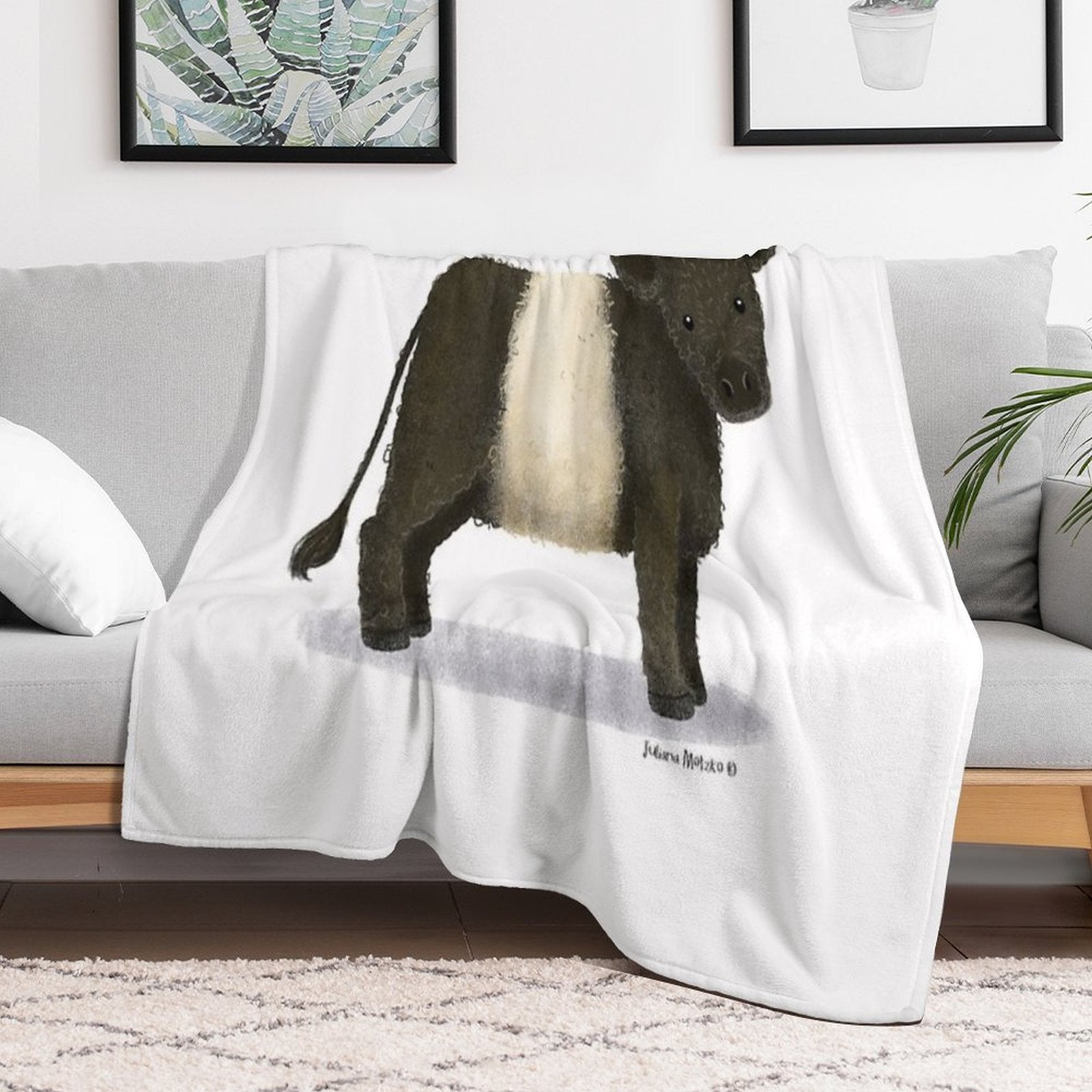 Belted Galloway Cattle Quick-dry Throw Blanket