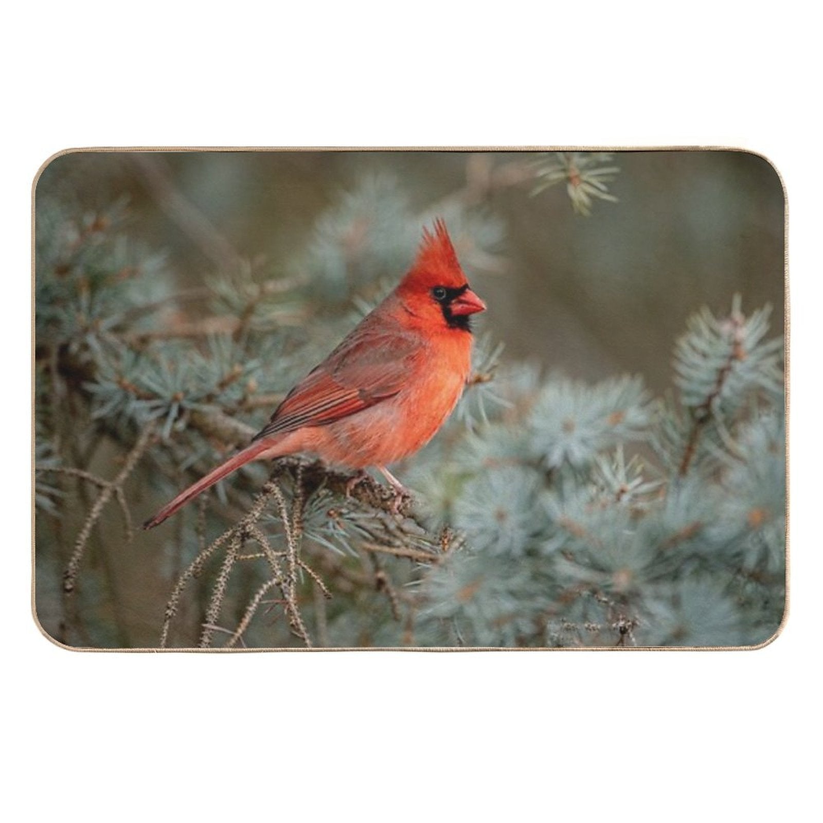 Male Northern Cardinal  Anti-Trip Bath Mat