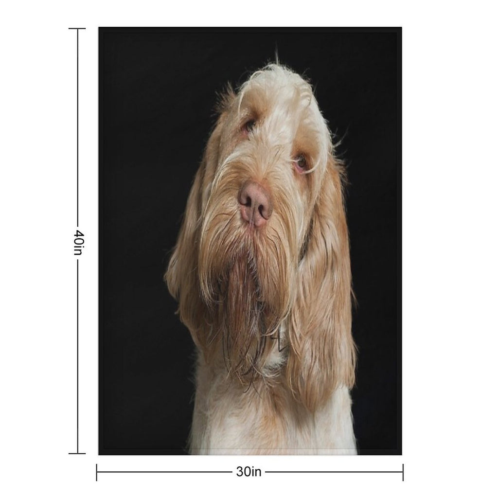 Head Tilt Spinone – Curious Gaze by Heidiannemorris © Premium Throw Blanket