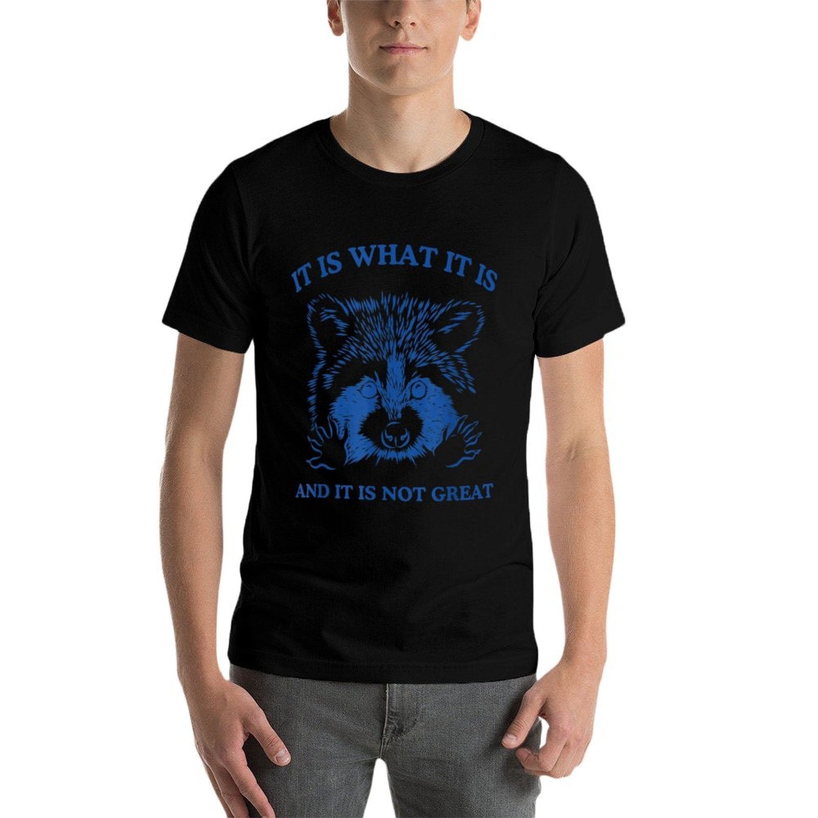 Raccoon, It Is What It Is And It Is Not Great Trash Raccoon Comfortable T-Shirt