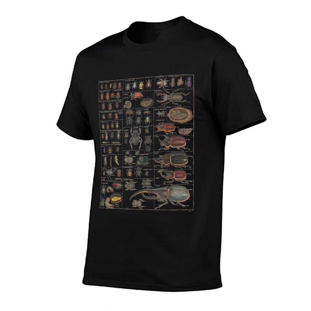 Insect Collection Species Bugs Vintage Chart Entomology  Oversized Silhouette T-Shirt