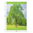 Large Elm Tree Machine-washable Throw Blanket