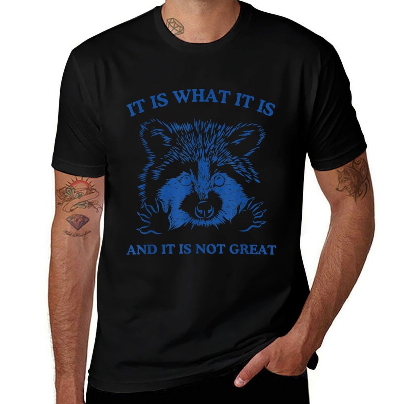 Raccoon, It Is What It Is And It Is Not Great Trash Raccoon Comfortable T-Shirt