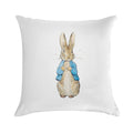 Peter Rabbit Soft Home Decor Throw Pillow