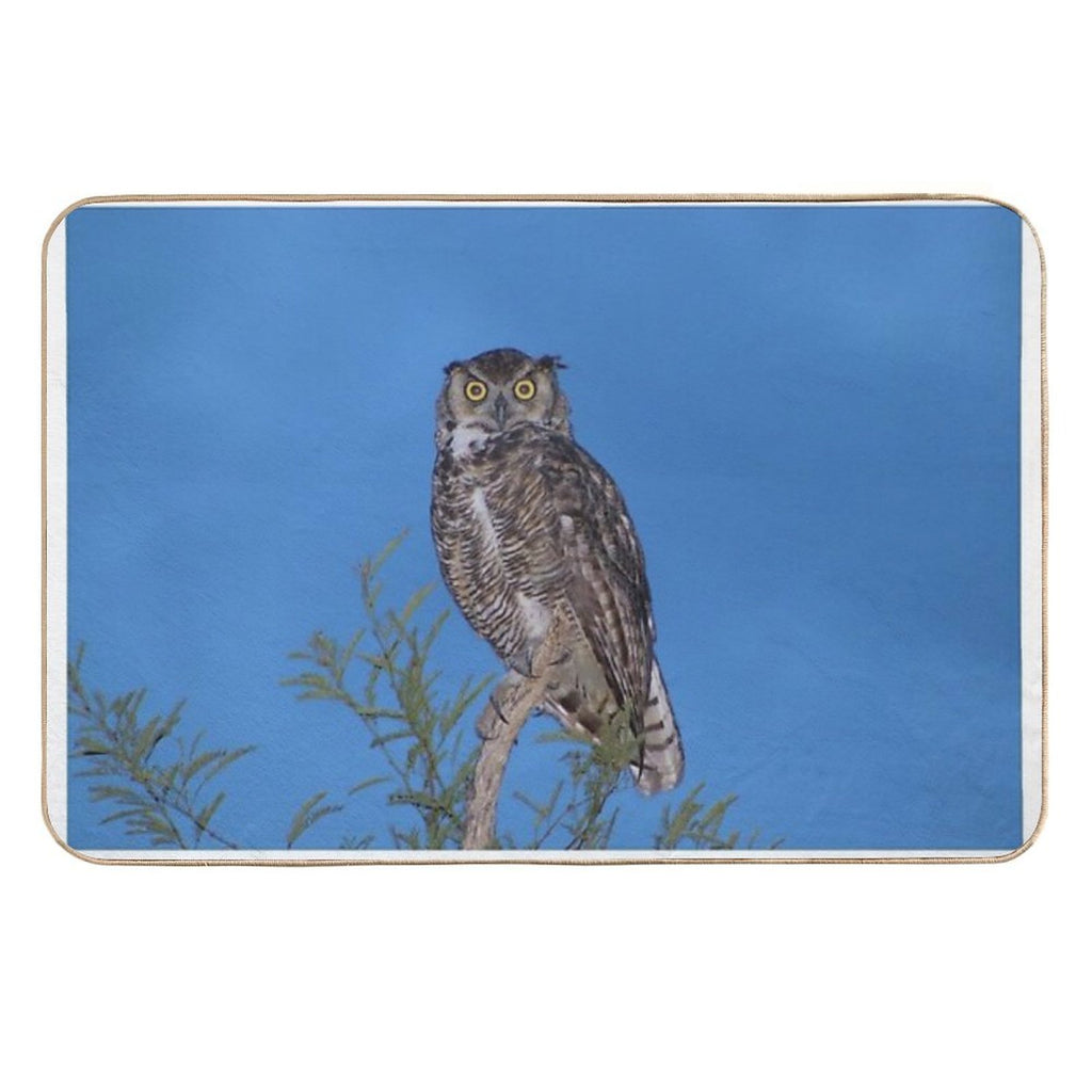 Beautiful Wise Owl  Slip-Resistant Bath Mat
