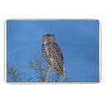 Beautiful Wise Owl  Slip-Resistant Bath Mat